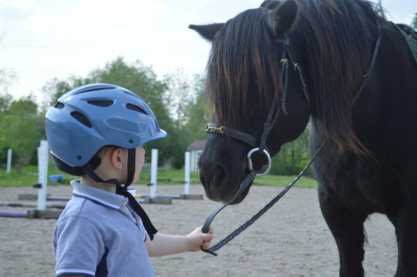 A child wearing a helmet gently leads a horse on a ranch, showcasing a moment of connection.